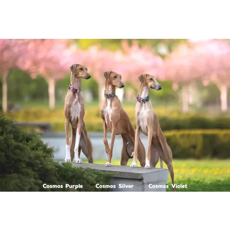 Obroża ozdobna półzaciskowa dla psa Cosmos Purple 5 cm - ekskluzywna, migocząca obroża żakardowa, lekka i komfortowa